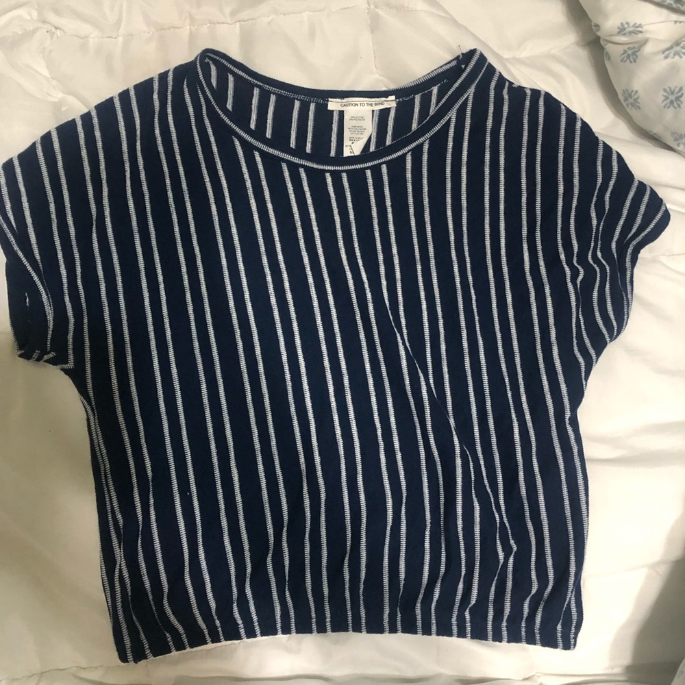 Blue and White Striped Crop Top